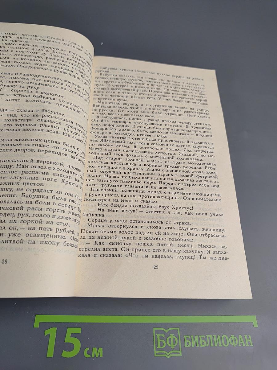 Далекие годы. Беспокойная юность