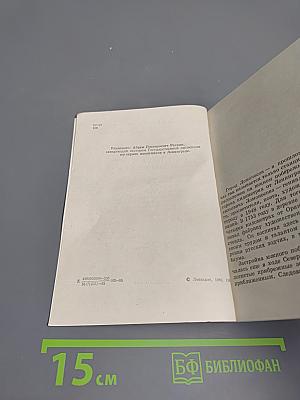 Художественные памятники города Ломоносова