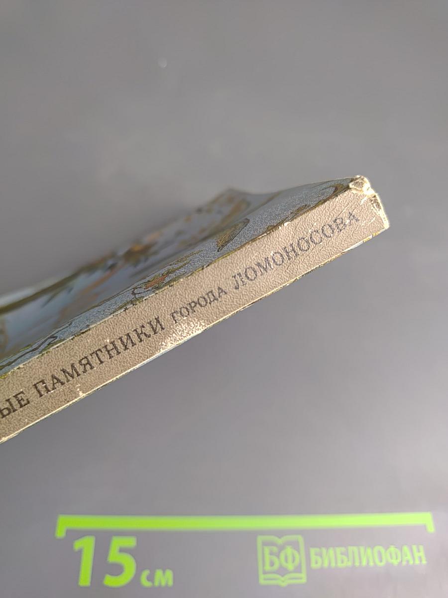 Художественные памятники города Ломоносова