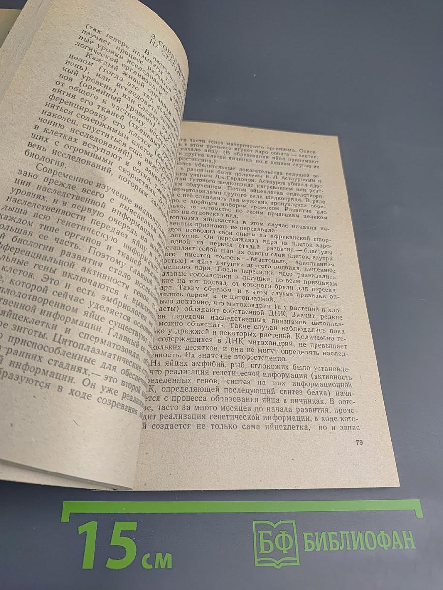 Жизнь до рождения