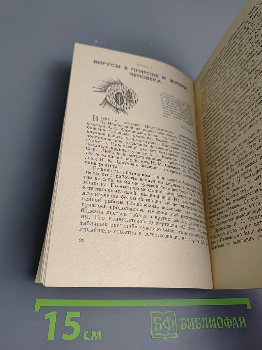 В мире незримого