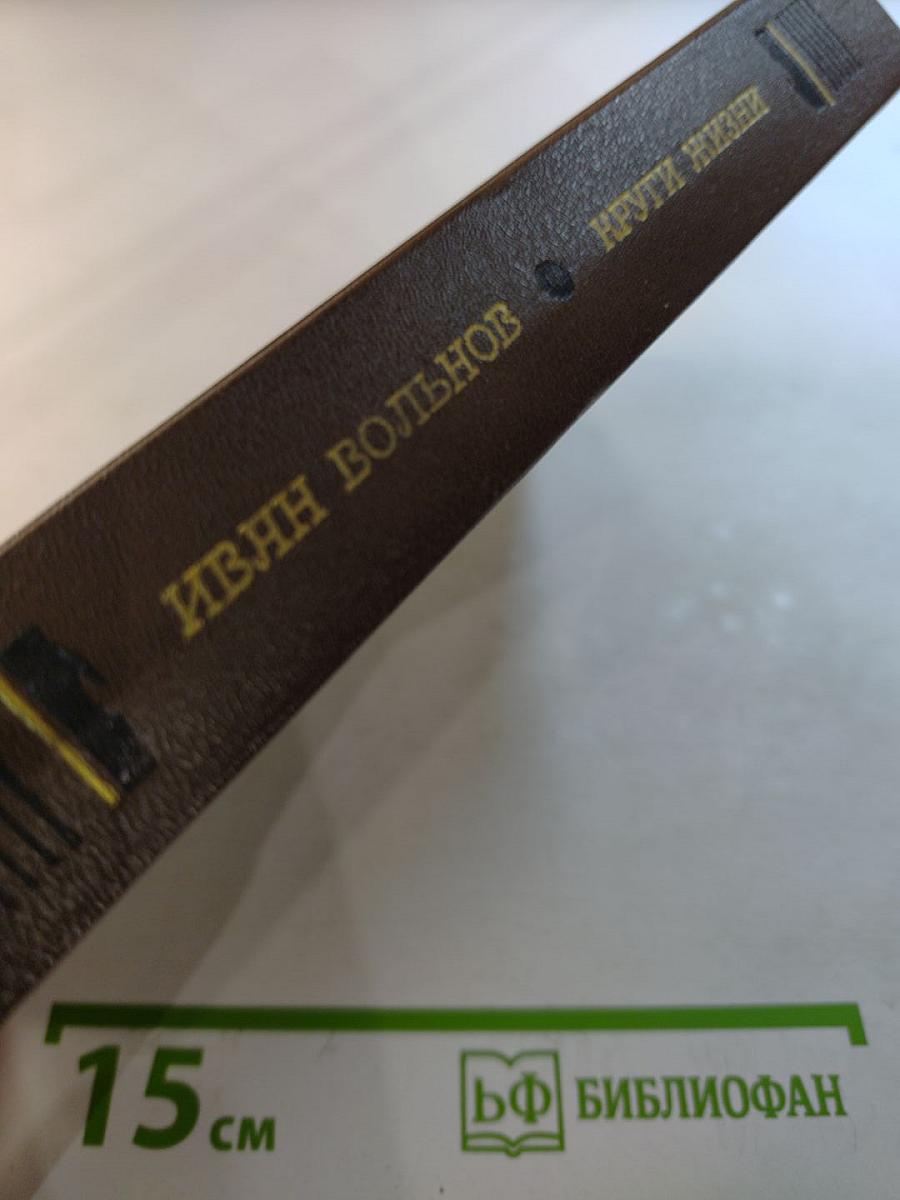 Круги жизни. Повести и рассказы