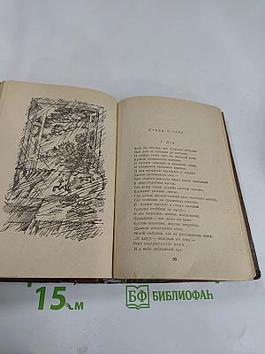 Избранное: Стихотворения и поэмы