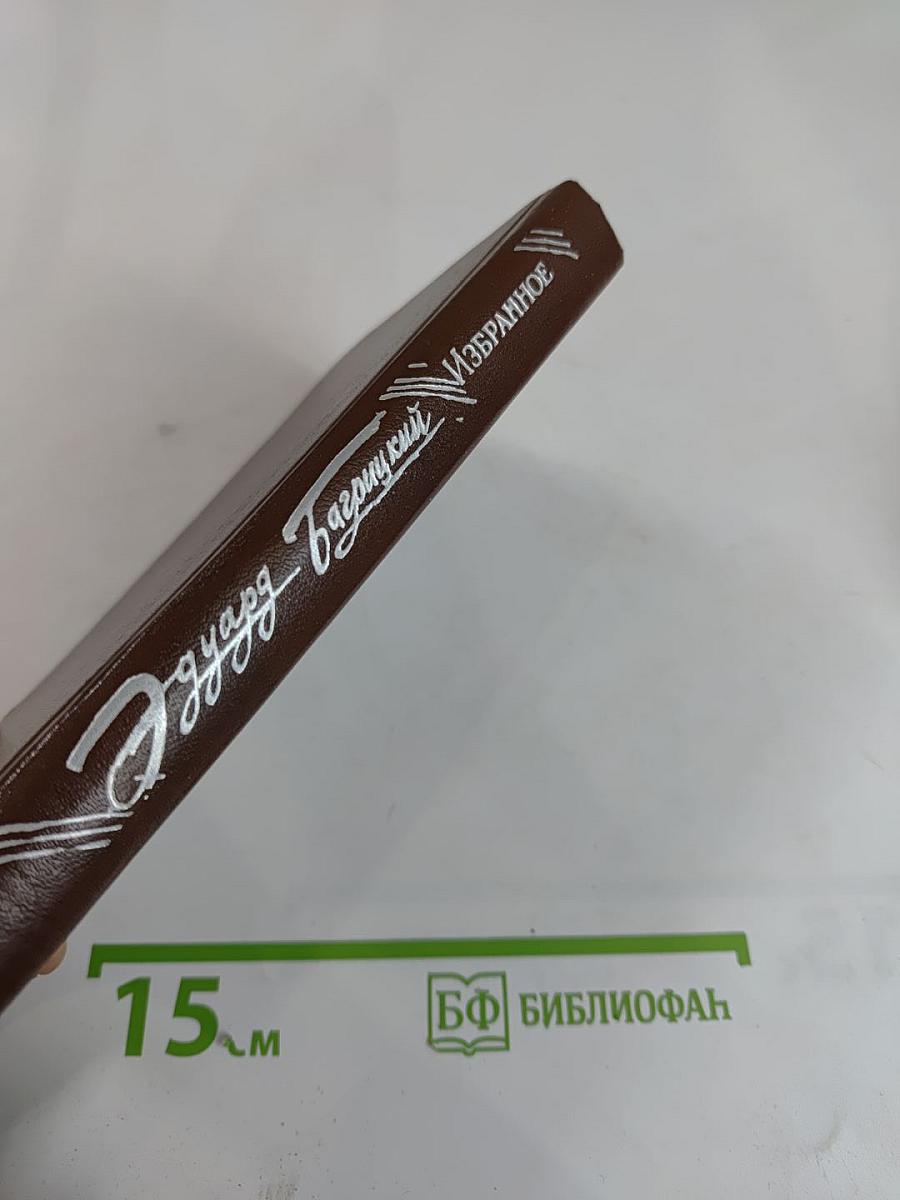 Избранное: Стихотворения и поэмы