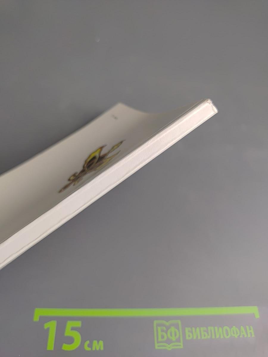 Господин Великий Новгород