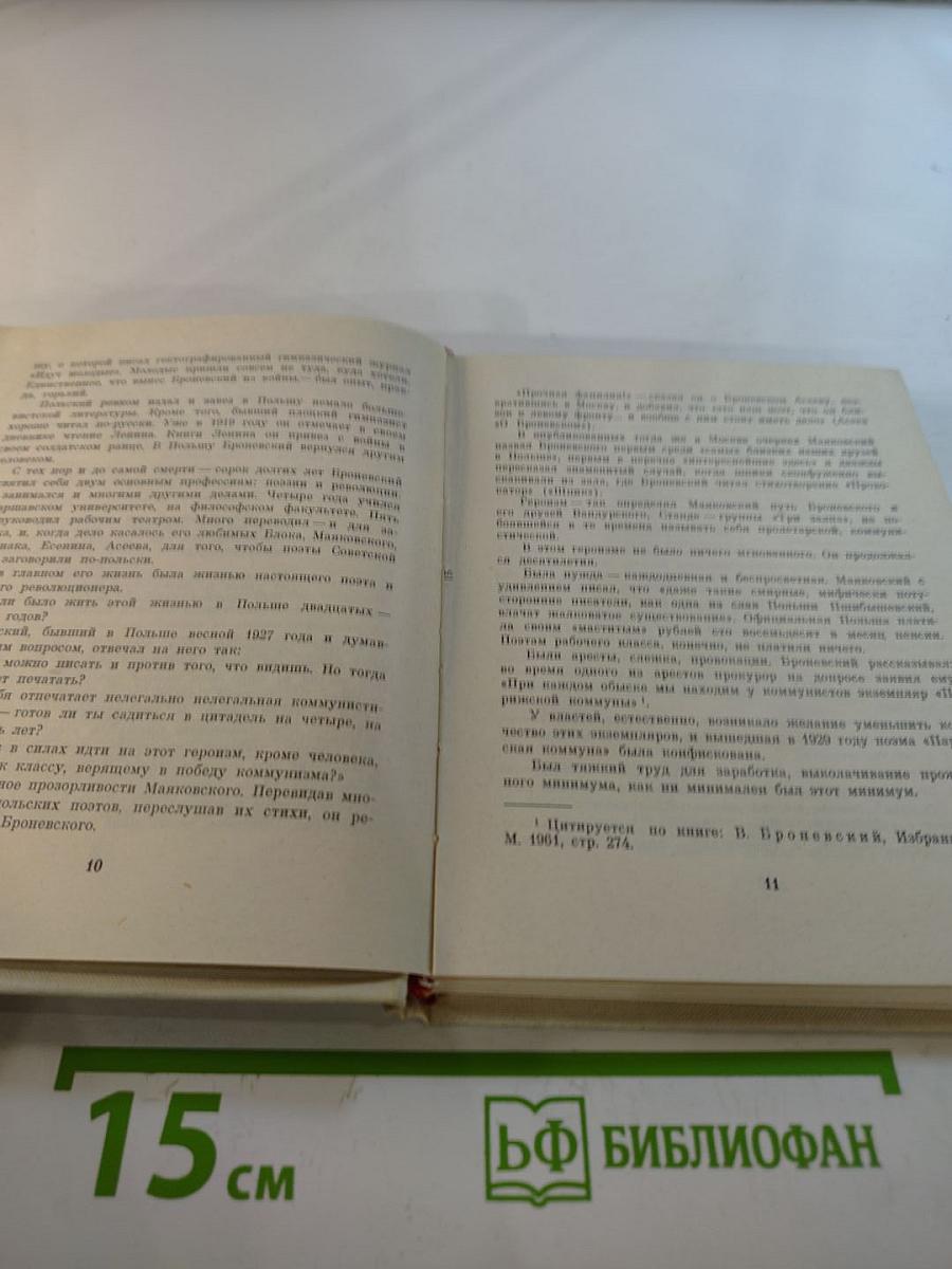 Стихи Владислав Броневский