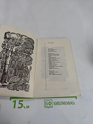 Избранная лирика