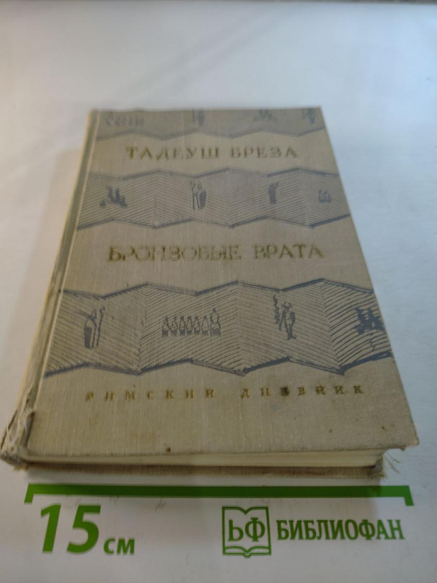 Бронзовые врата. Римский дневник