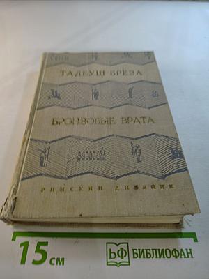 Бронзовые врата. Римский дневник