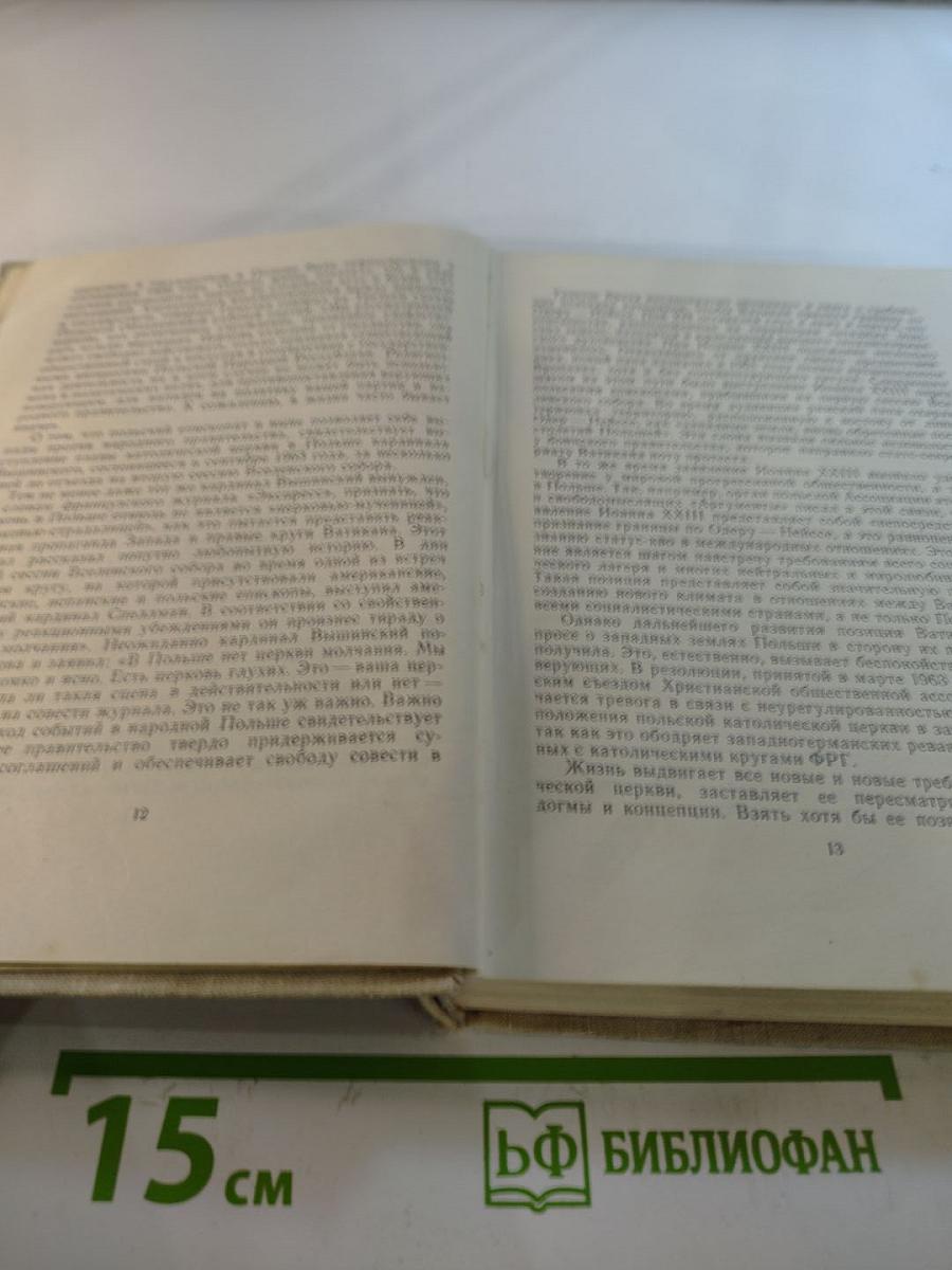 Бронзовые врата. Римский дневник