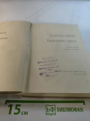 Бронзовые врата. Римский дневник
