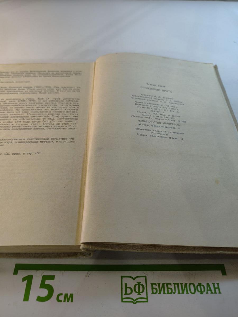 Бронзовые врата. Римский дневник