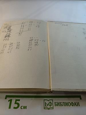 Бронзовые врата. Римский дневник