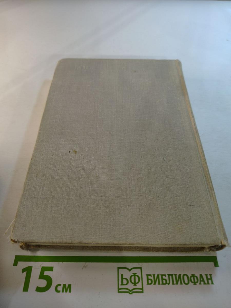 Бронзовые врата. Римский дневник