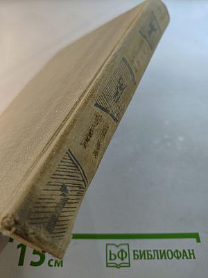 Бронзовые врата. Римский дневник