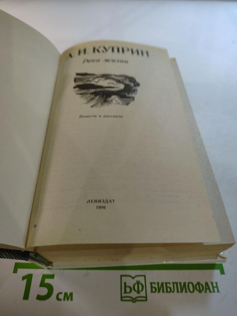 Река жизни: Повести и рассказы