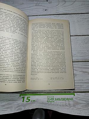 Поэтические течения в русской литературе конца XIX – начала XX века. Литературные манифесты и художественная практика. Хрестоматия