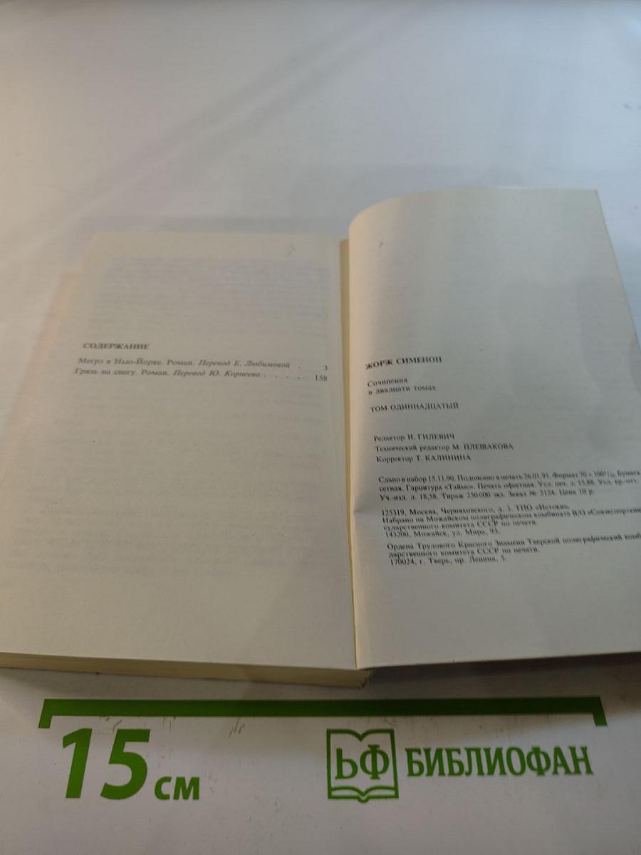 Мегрэ в Нью-Йорке; Грязь на снегу