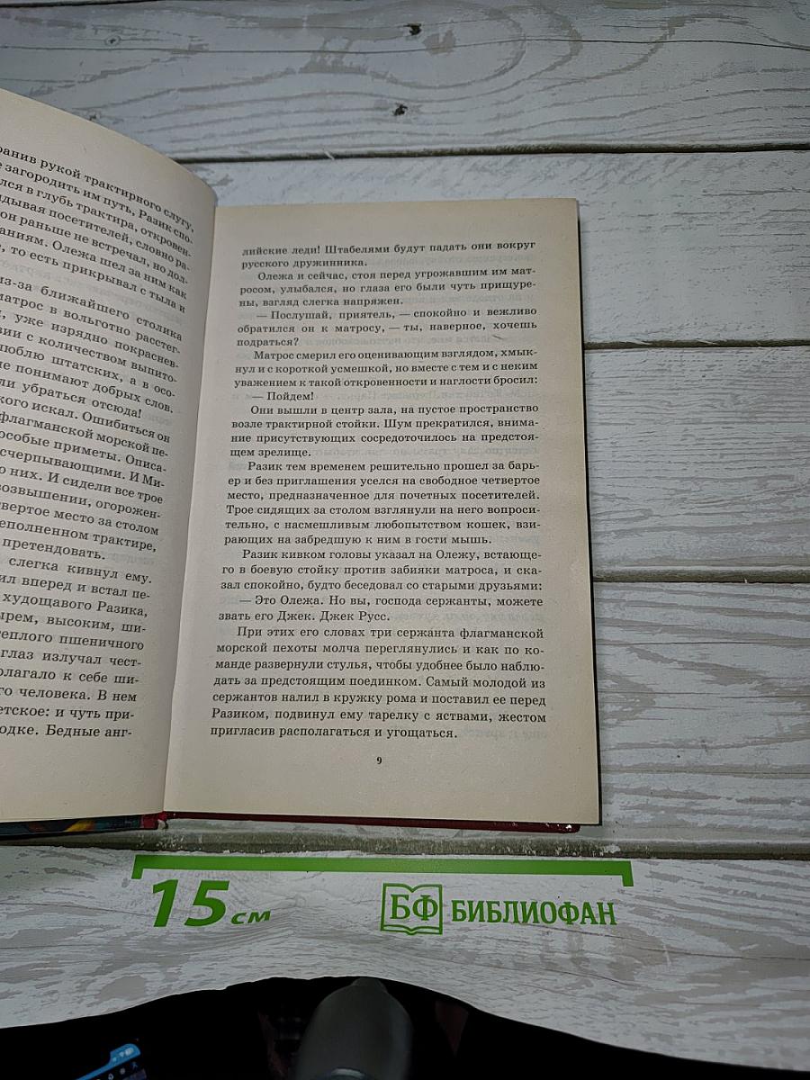 Дружина особого назначения. Книга 3. Засечная черта