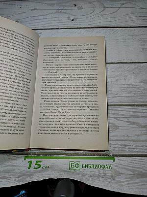 Дружина особого назначения. Книга 3. Засечная черта
