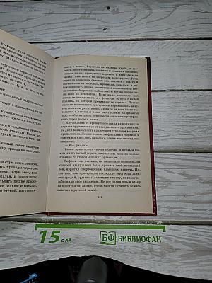 Дружина особого назначения. Книга 3. Засечная черта