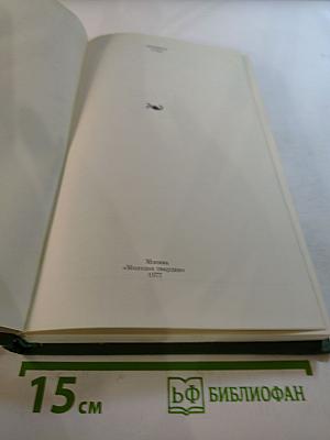 Времена года