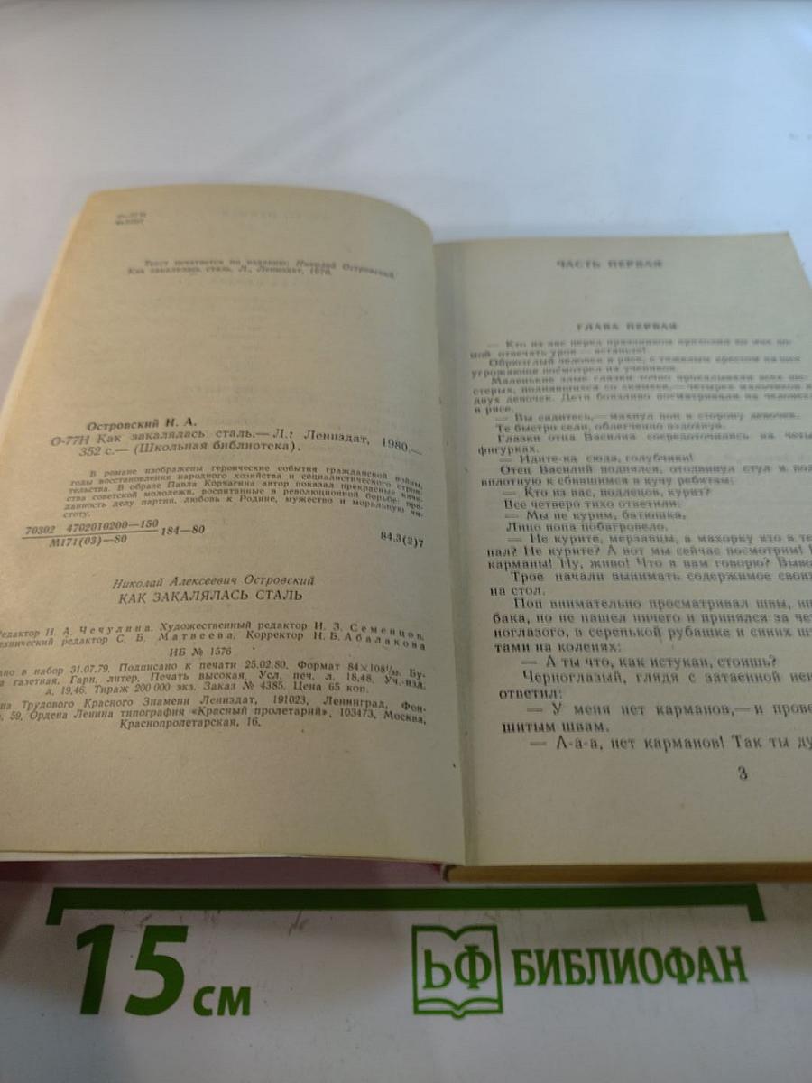 Как закалялась сталь