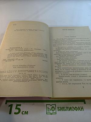 Как закалялась сталь