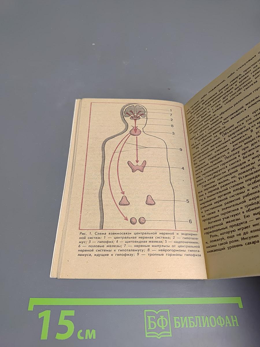 Нарушение обмена веществ: профилактика