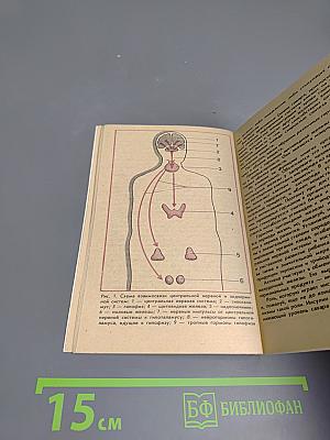 Нарушение обмена веществ: профилактика