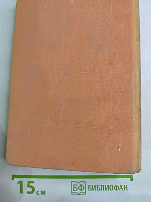 Виконт де Бражелон, или Десять лет спустя. III