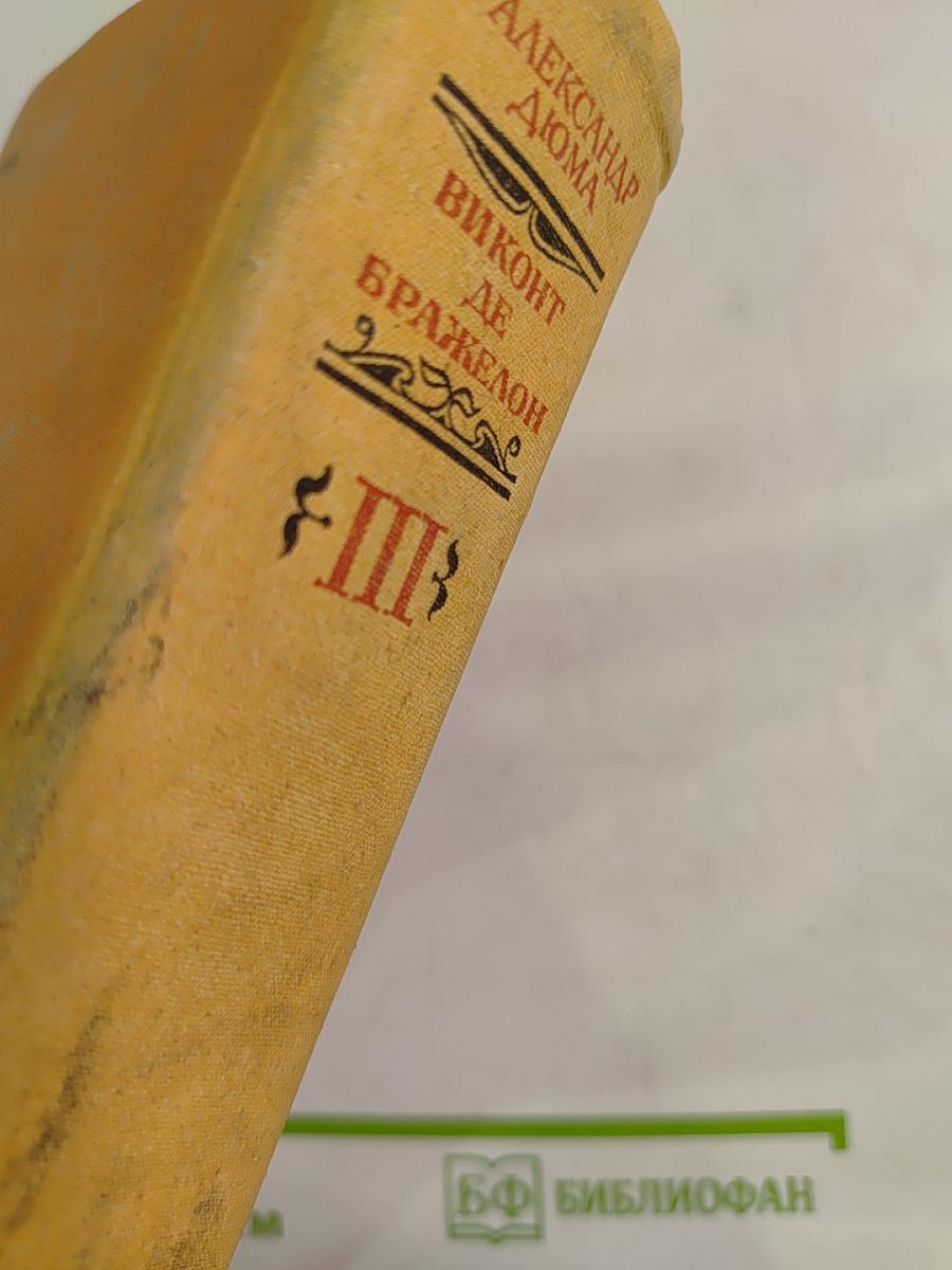 Виконт де Бражелон, или Десять лет спустя. III