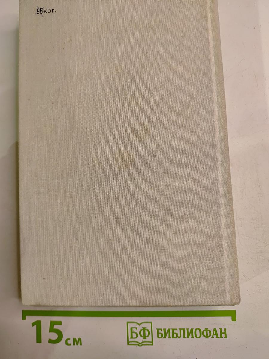 Честь смолоду