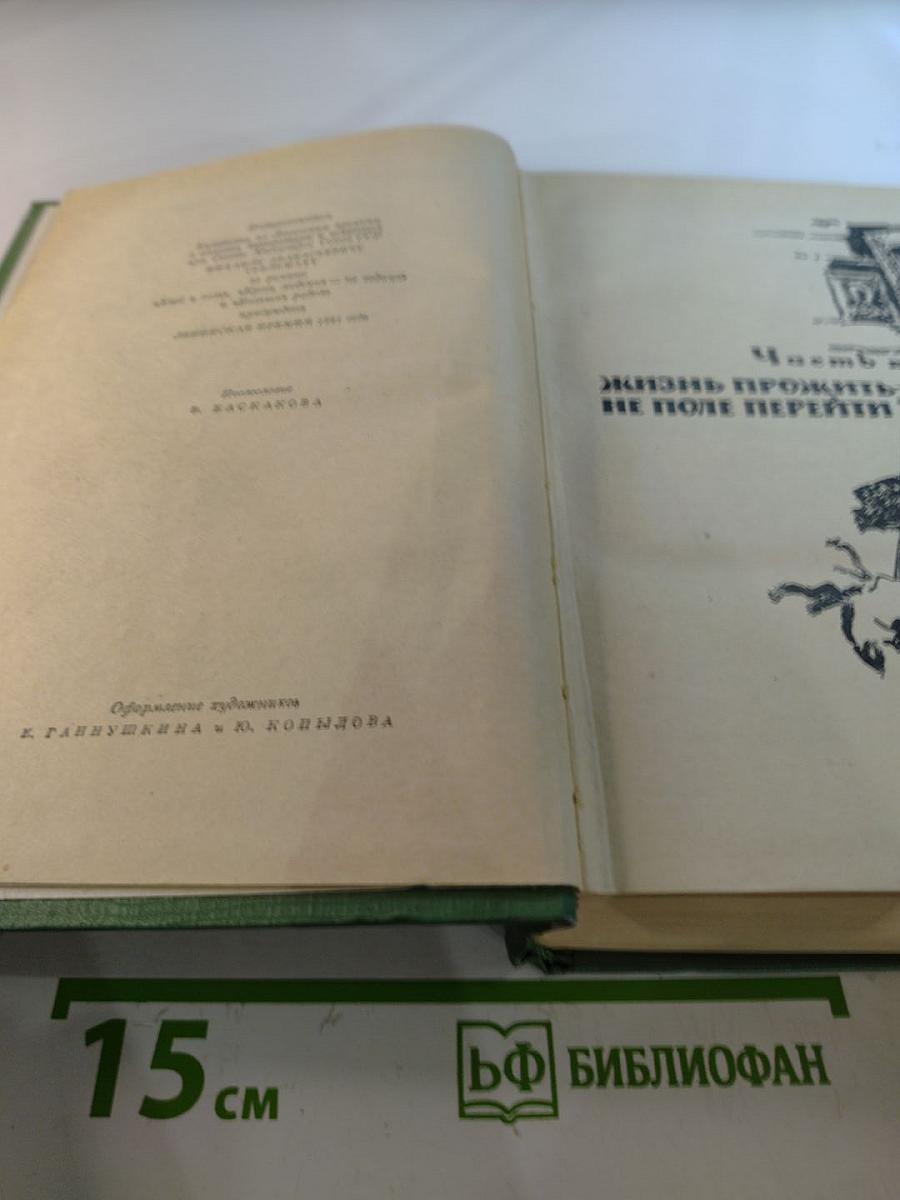 Большая родня. Комбикоры. Том второй