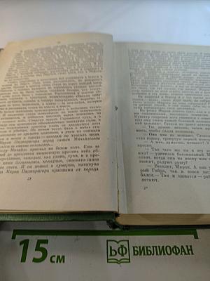Большая родня. Комбикоры. Том второй