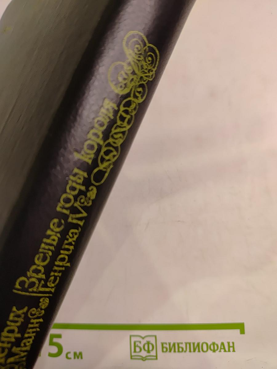 Зрелые годы короля Генриха IV