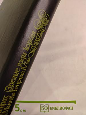 Зрелые годы короля Генриха IV