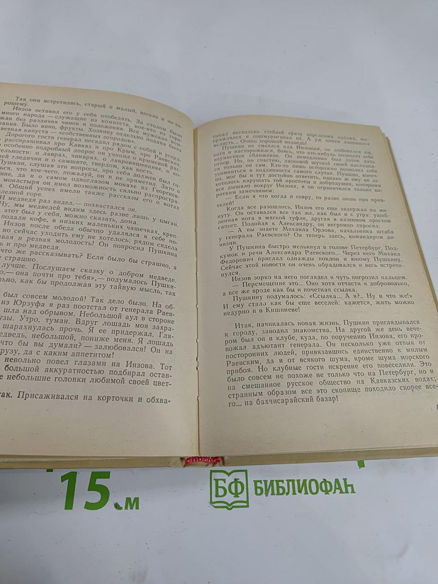 Пушкин на юге