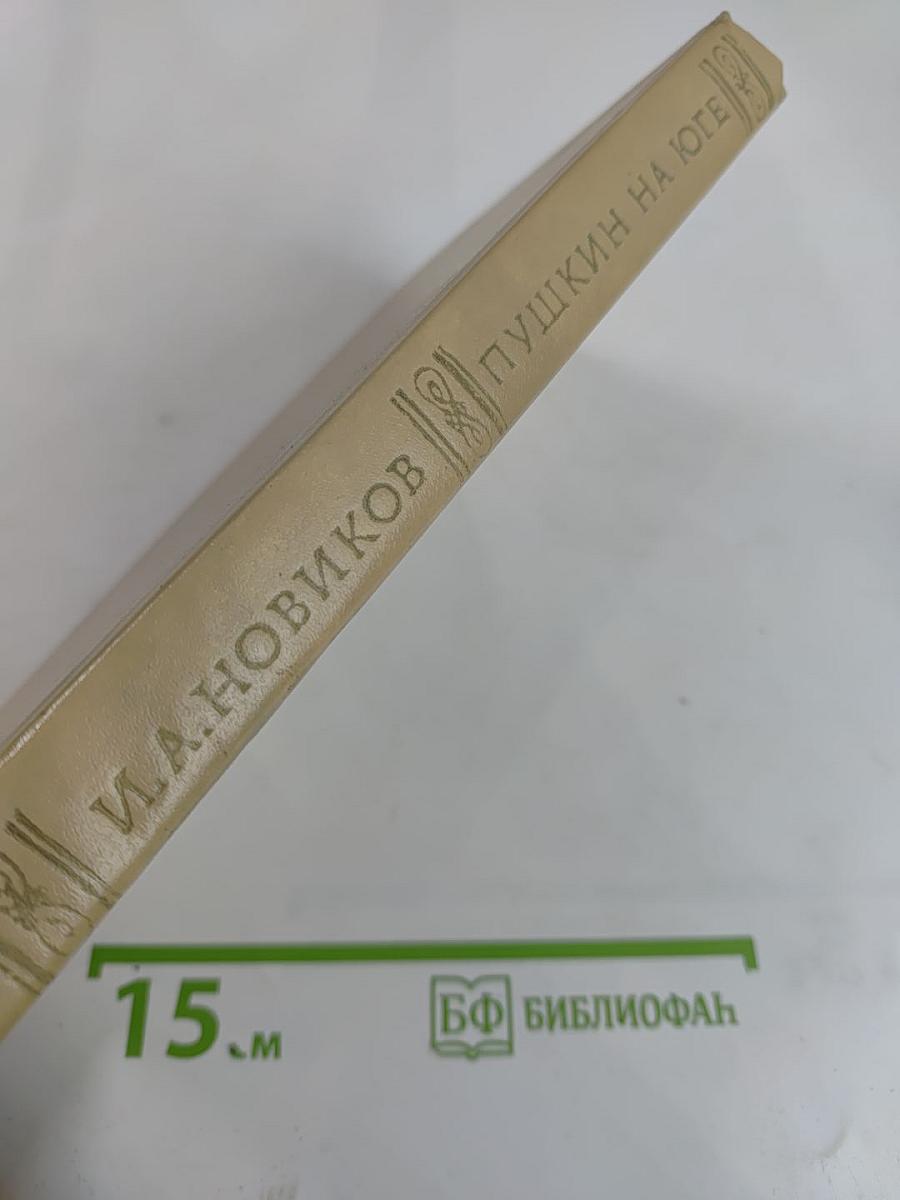 Пушкин на юге