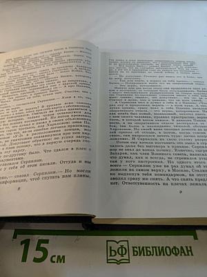 Живые и мертвые. Книга третья. Последнее лето