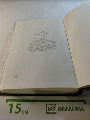 Живые и мертвые. Книга третья. Последнее лето