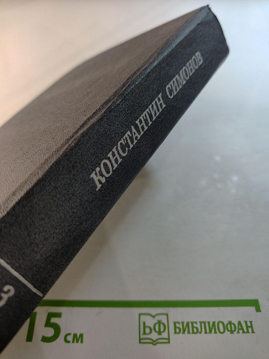 Живые и мертвые. Книга третья. Последнее лето