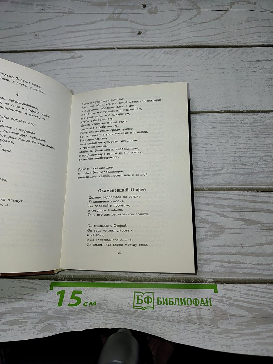 Корни и Звезды