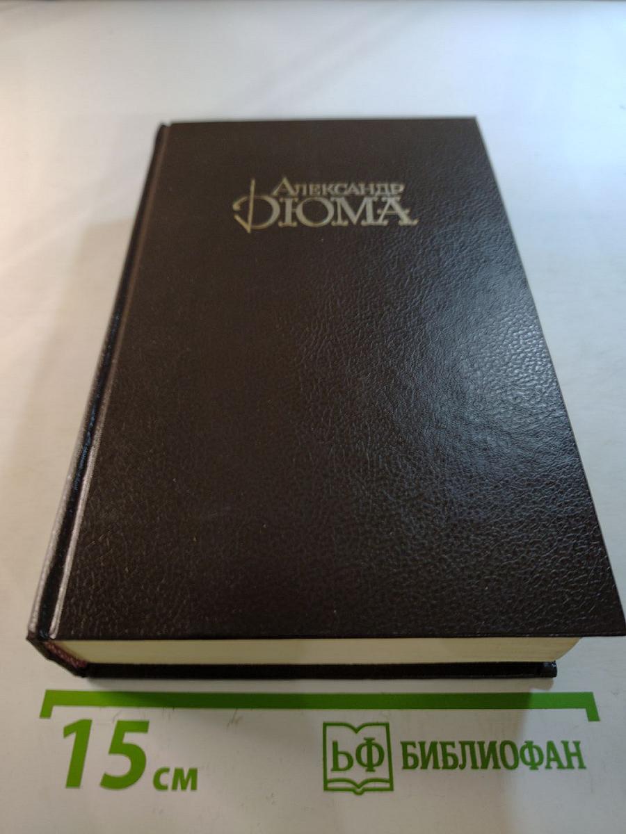 Три мушкетера. Том 1