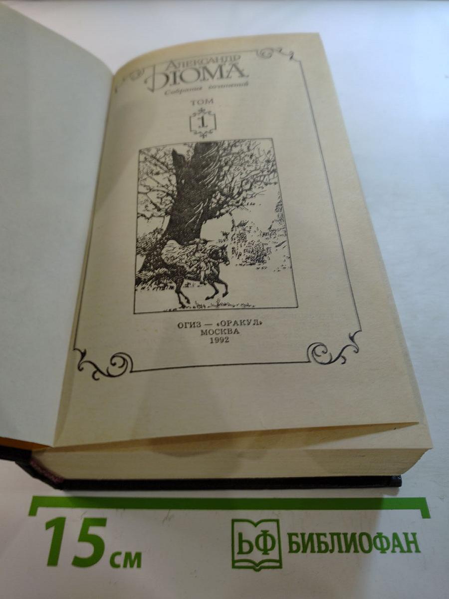 Три мушкетера. Том 1