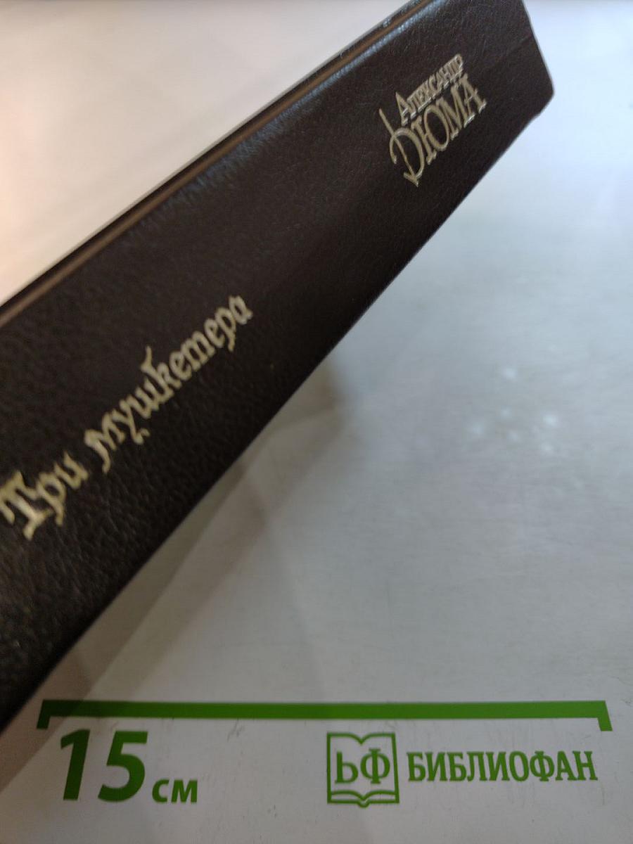 Три мушкетера. Том 1