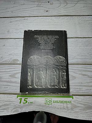 Корни и Звезды