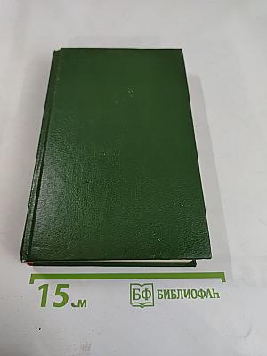 Белый Дракон