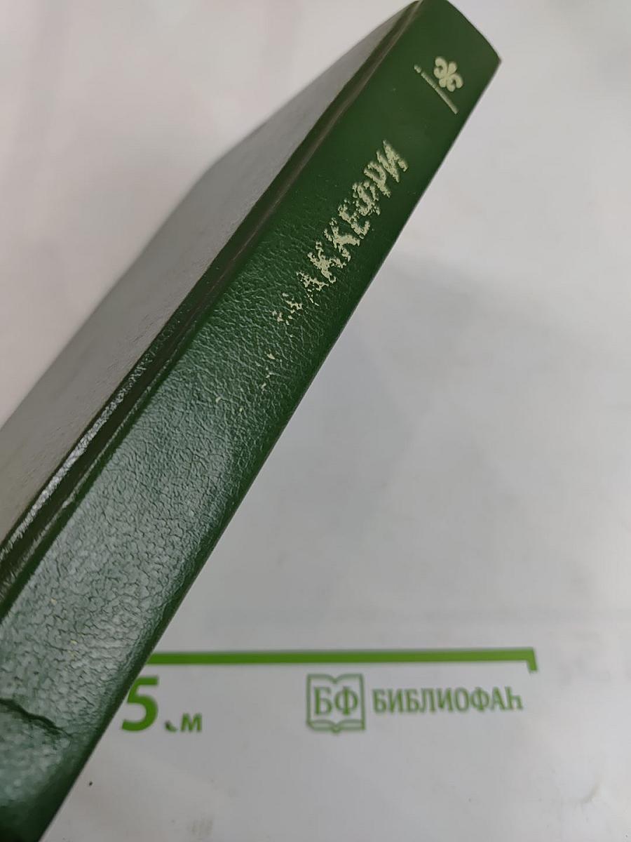 Белый Дракон