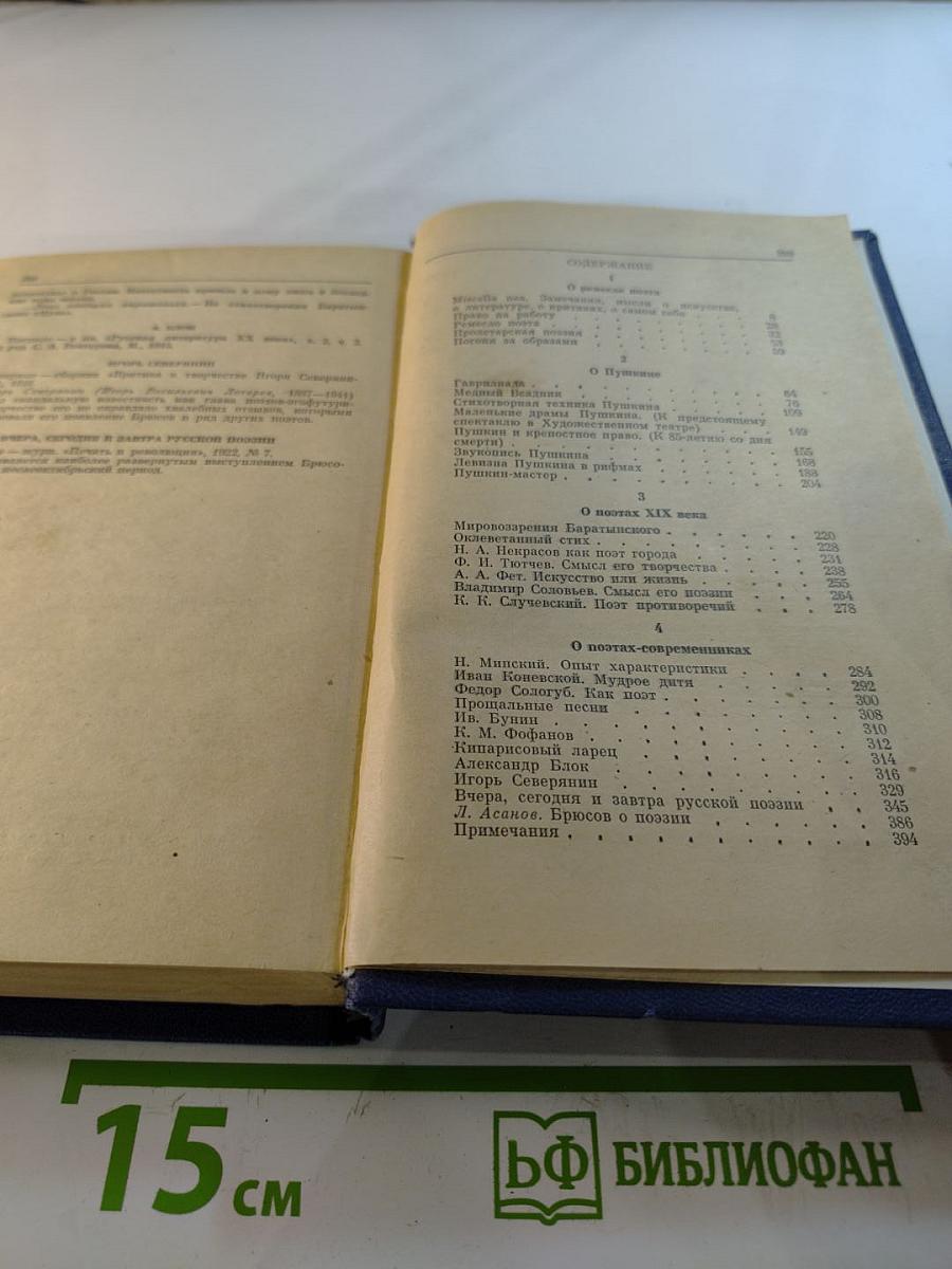 Ремесло поэта. Статья о русской поэзии